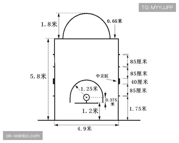 篮球罚球规则：NBA与FIBA具体区别解析